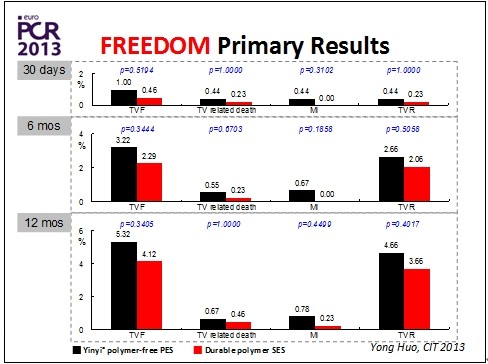 巴黎血運(yùn)重建會議（EuroPCR 2013）召開(圖5)